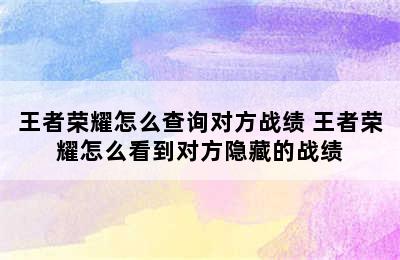 王者荣耀怎么查询对方战绩 王者荣耀怎么看到对方隐藏的战绩